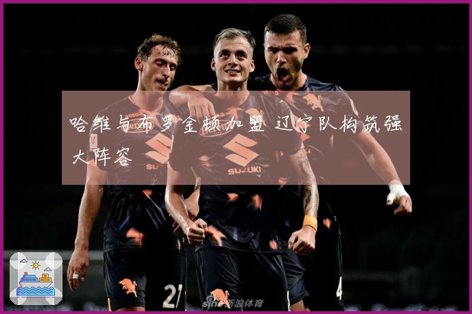 哈维与布罗金顿加盟 辽宁队构筑强大阵容