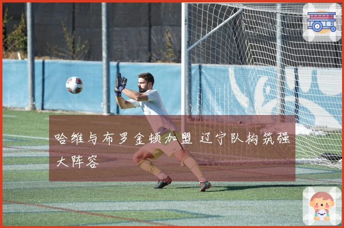 哈维与布罗金顿加盟 辽宁队构筑强大阵容